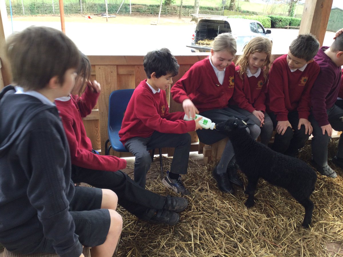 Blwyddyn 4 Cross Ash tweet media