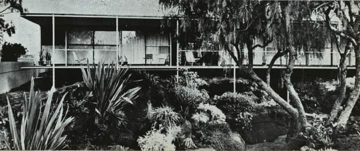 Angel Muñiz tweet media