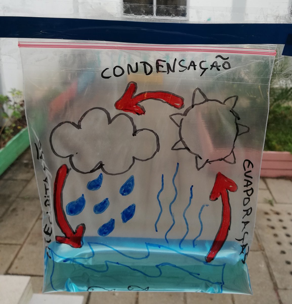 POLAR STAR Project tweet media