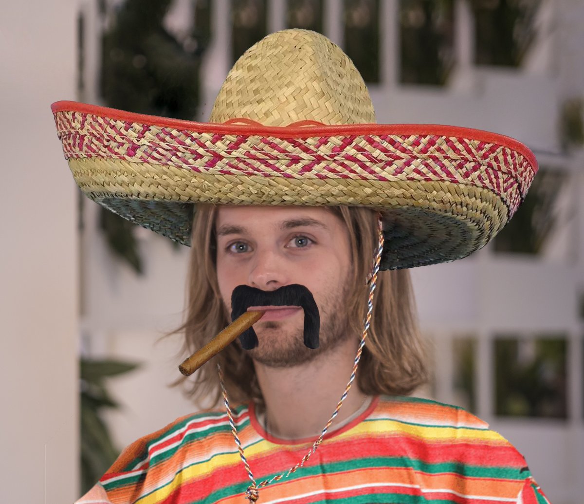 Copie 🐧 tweet media