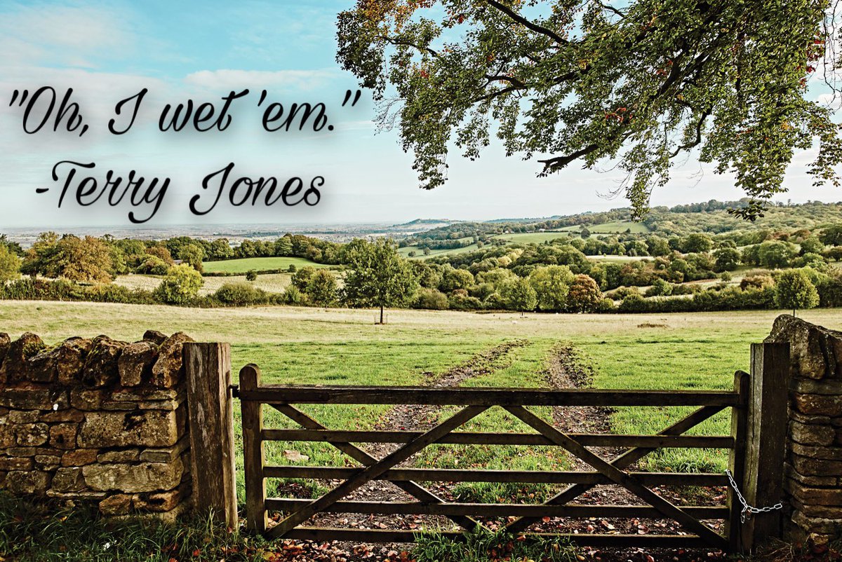 Inspirational Monty Python Quotes (Cardinal Fang) (@Python_Quotes ...