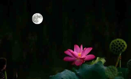 There is one emotion in this world that can move people the most, and that is true love. True love is like a hug, seemingly silent, but worth more than a thousand words.