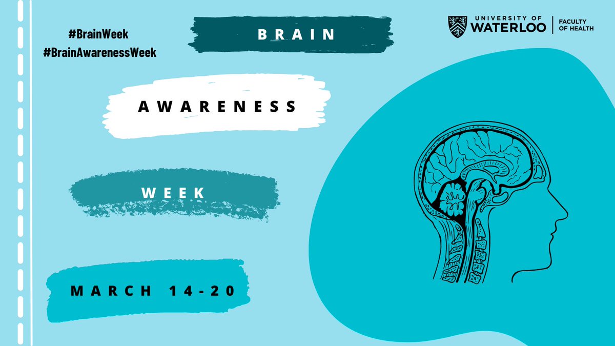 Healthy lifestyle habits can reduce your risk of dementia. It's #BrainAwarenessWeek and <a href="/uwbrainbodylab/">UW Brain and Body Lab</a> are asking older adults to share their thoughts for a study on using remote peer support to maintain brain-healthy lifestyle habits:
Bit.ly/HealthyPeerSup…