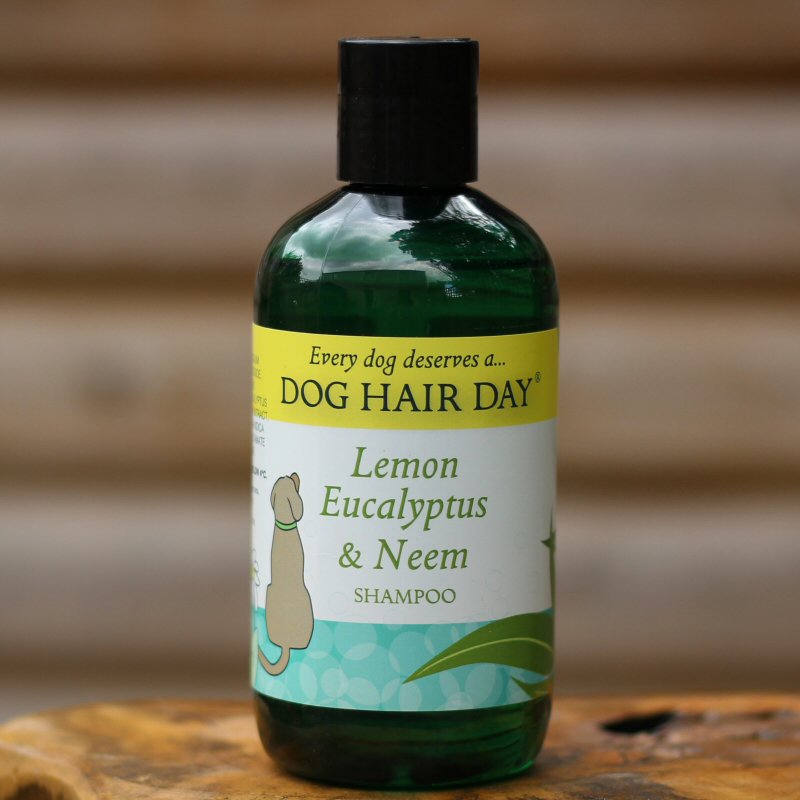 GoodVetPetGuide's tweet photo. .@doghairday #shampoo ingredients are 97% naturally derived &amp; are at a pH suitable for all #Dogs from #Puppies through to golden oldies. Tea Tree &amp; Sage Lemon Eucalyptus &amp; Neem Lavender &amp; Chamomile Aloe Vera &amp; Nettle 'Every Dog Deserves a Dog Hair Day' https://t.co/e51GtKDLFC https://t.co/uu0oWOhDjr