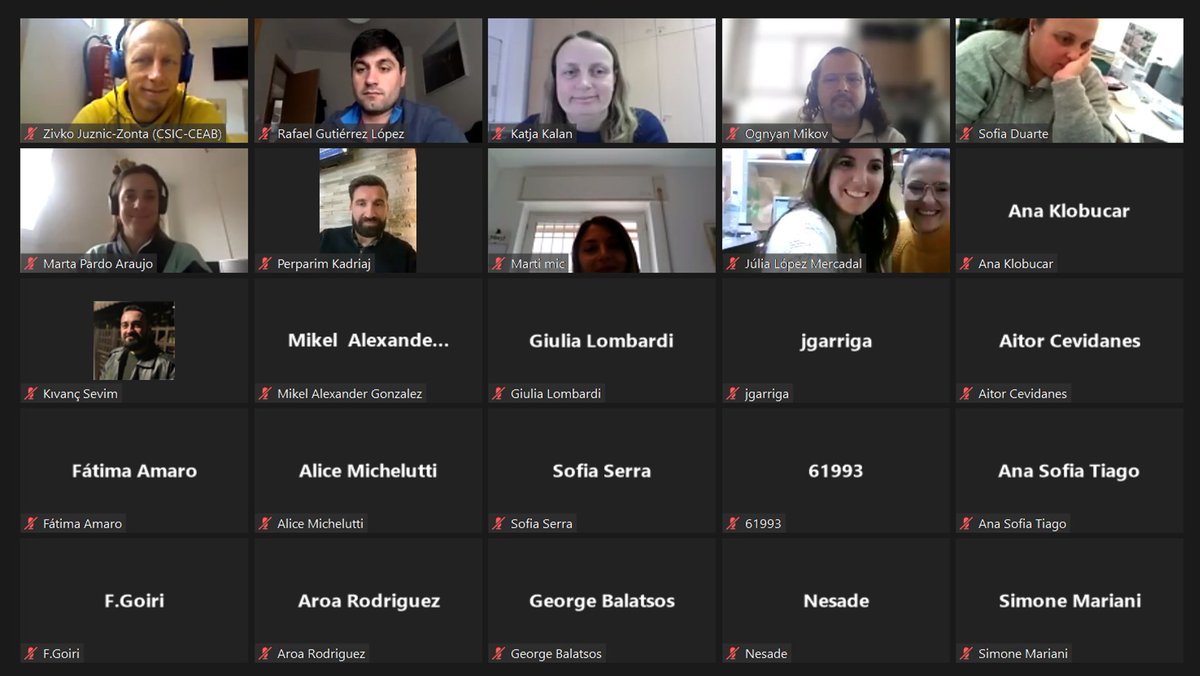 MAMirandaTweet's tweet photo. 🎯Two days of very nice networking on #AIMSurv for 2022. 42 teams 👏👏👏from all around Europe sharing harmonized protocol for Aedes Invasive Mosquito species 🦟🦟 both #field and #CitizenScience @Mosquito_Alert. One of the major activities of @aedescost project. https://t.co/QALG3NQi4T