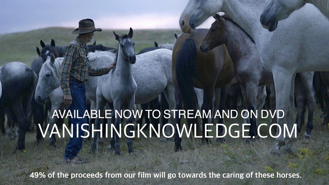 ejazkhanphotos's tweet photo. When time is on the line, sacrifices are need to be made. ❤️🐴

49% of the proceeds from our film
will go towards the caring of these amazing horses.

Get your DVD now before they are gone at https://t.co/wmZn2vdCst

#horseprotection #newmovies 
#horsetherapy #horseowners #dvds https://t.co/b9ZheCoI9J