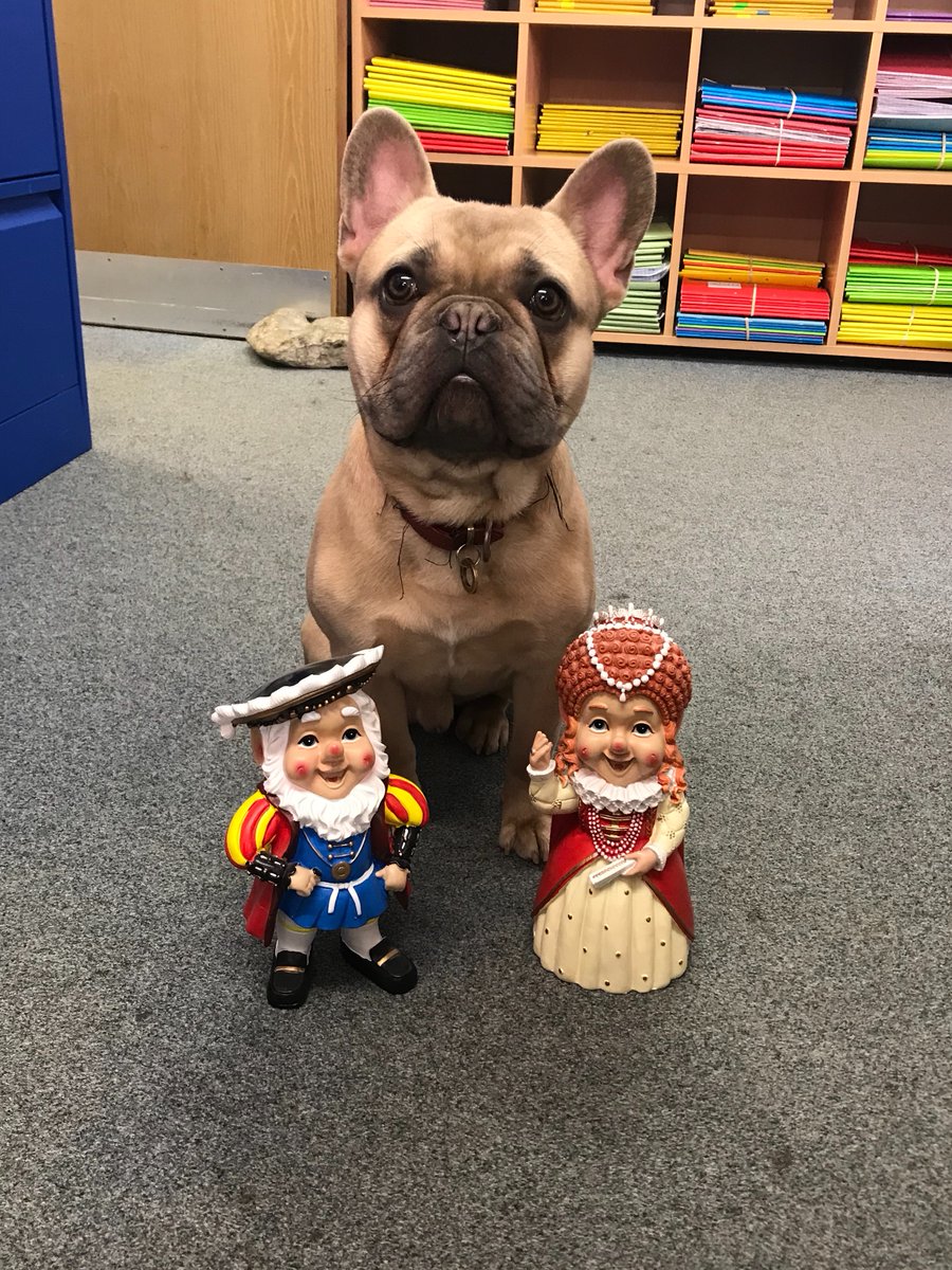 KMAHumanities's tweet photo. It was great to have a visit from Scruffy this afternoon. Massive hit with the Humanities team. https://t.co/Vv9TWbsDIf