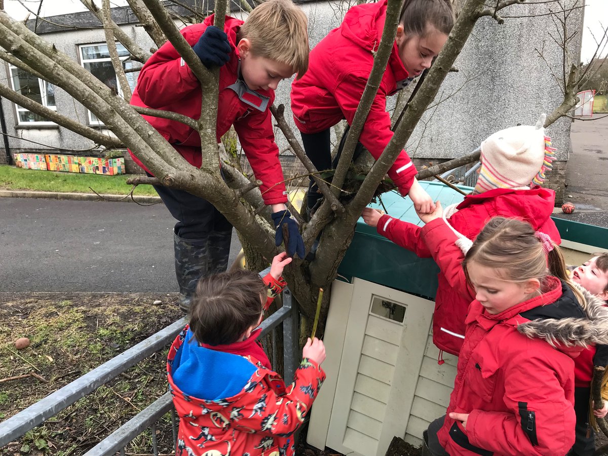 UplawmoorPS's tweet image. P1-4 put their observation skills to the test this morning when exploring birds nests. They then applied their learning in the wild to construct their very own sturdy, cosy &amp;amp; camouflaged homes for baby birds @ScienceWeekUK  #BSW22 #ERCSTEM