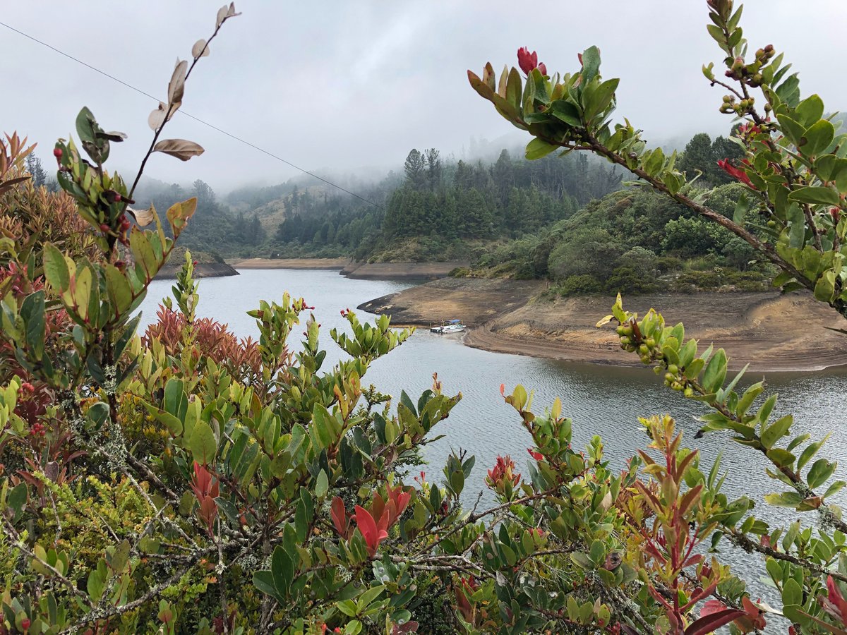 Veolia_Tunja's tweet photo. 💧 #DíaMundialDelAgua ¿sabías que nuestra principal fuente de abastecimiento es el embalse Teatinos, ubicado en el páramo de Rabanal, a 3.450 metros sobre el nivel del mar, construido entre 1968 y 1972? https://t.co/h9Itfh8AaW