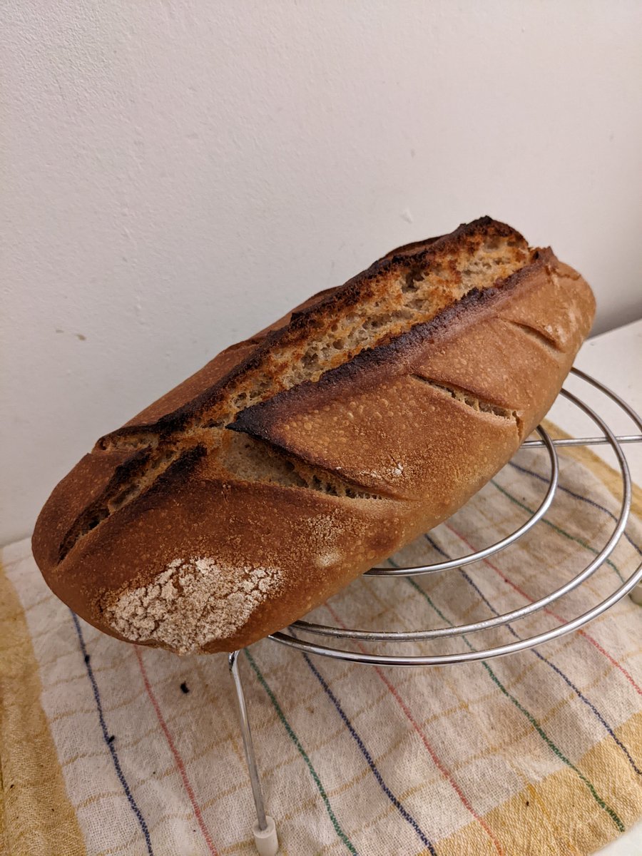 stormwarnings_'s tweet photo. even when I fuck up i am managing to make something nice looking (and they always taste good at least) #breadventures https://t.co/0aBDqnl4pa