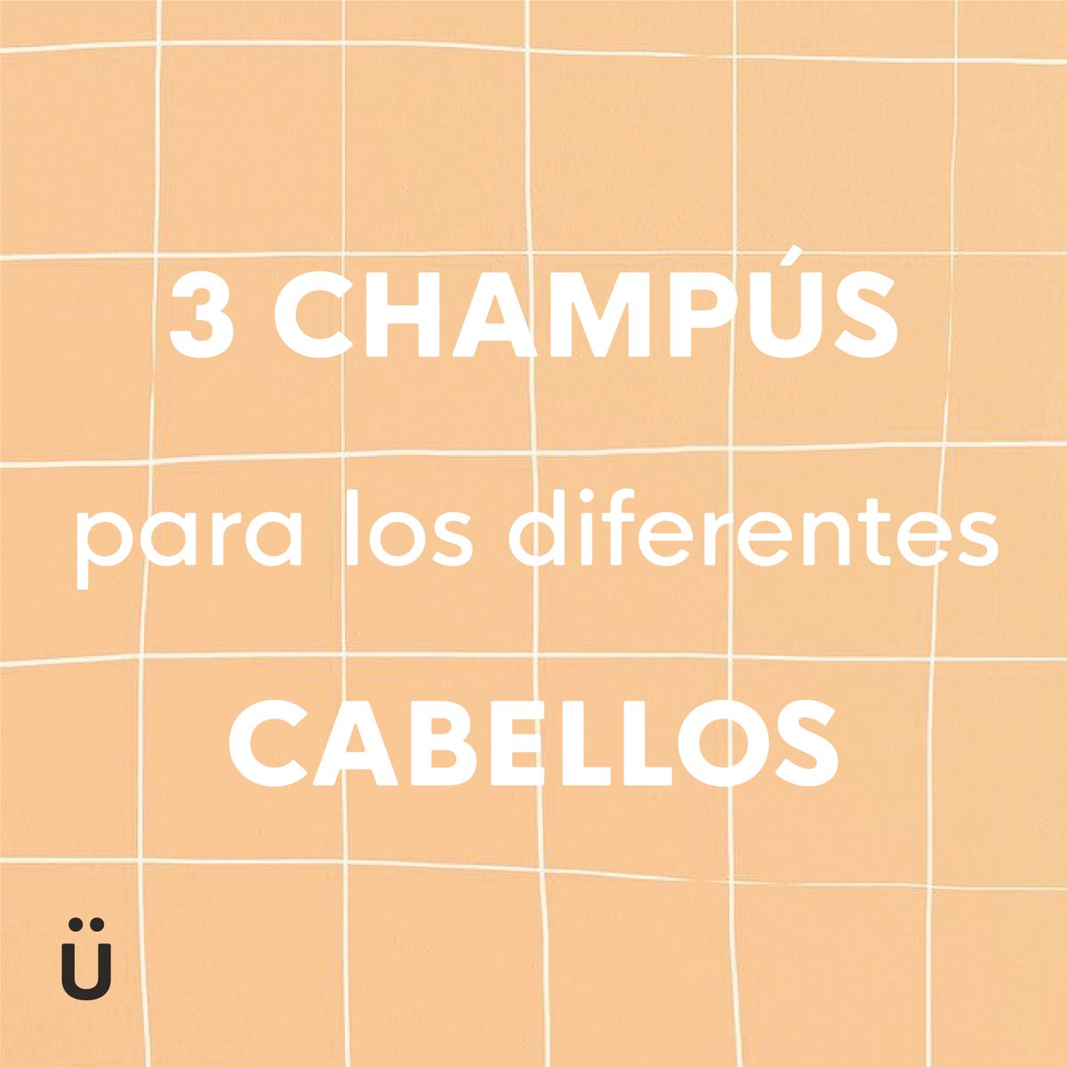 Conseguir encontrar el champú ideal para tu pelo es difícil, lo sabemos, por eso tenemos 3 champús para encontrar el adecuado para ti 👩🏽‍🦱👩🏼👩🏻🧑🏻👨🏼👨🏼‍🦳¿Cuál es tu champú? Te leemos en comentarios 😉#naturbrush #champusolido #sólidos #natural #vegan #zerowaste  #sintóxico #champú #100%
