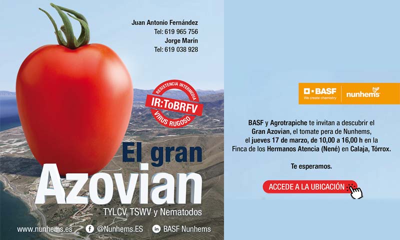 Khalatea's tweet photo. 📢Día 17 de marzo. Jornada de #tomate pera #Azovian de Nunhems🍅
https://t.co/UwMXoGv0Lh

🌱@BASF_AgroES 

👉Una jornada organizada en la Finca de los Hermanos Atencia en Calaja, Torrox

#agricultura #seeds #Semillas https://t.co/ixSMfLZt7m