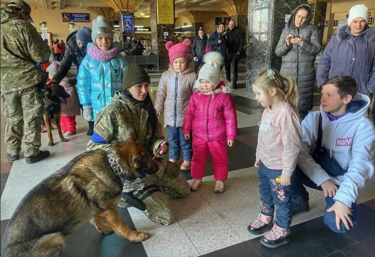 At the train station in Kiev, police dogs and their handlers distract children from war, if only for a moment. Photo credit: UkraineWarReport Reddit