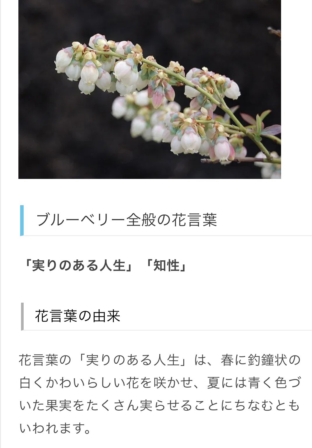 Popoko 私の誕生花はブルーベリーでした 知性 なんてこれっぽっちもないけど ナゾトレ れんちゃん れんれん 川尻蓮 Jo1 Official Jo1 T Co R23kvxvv6m Twitter