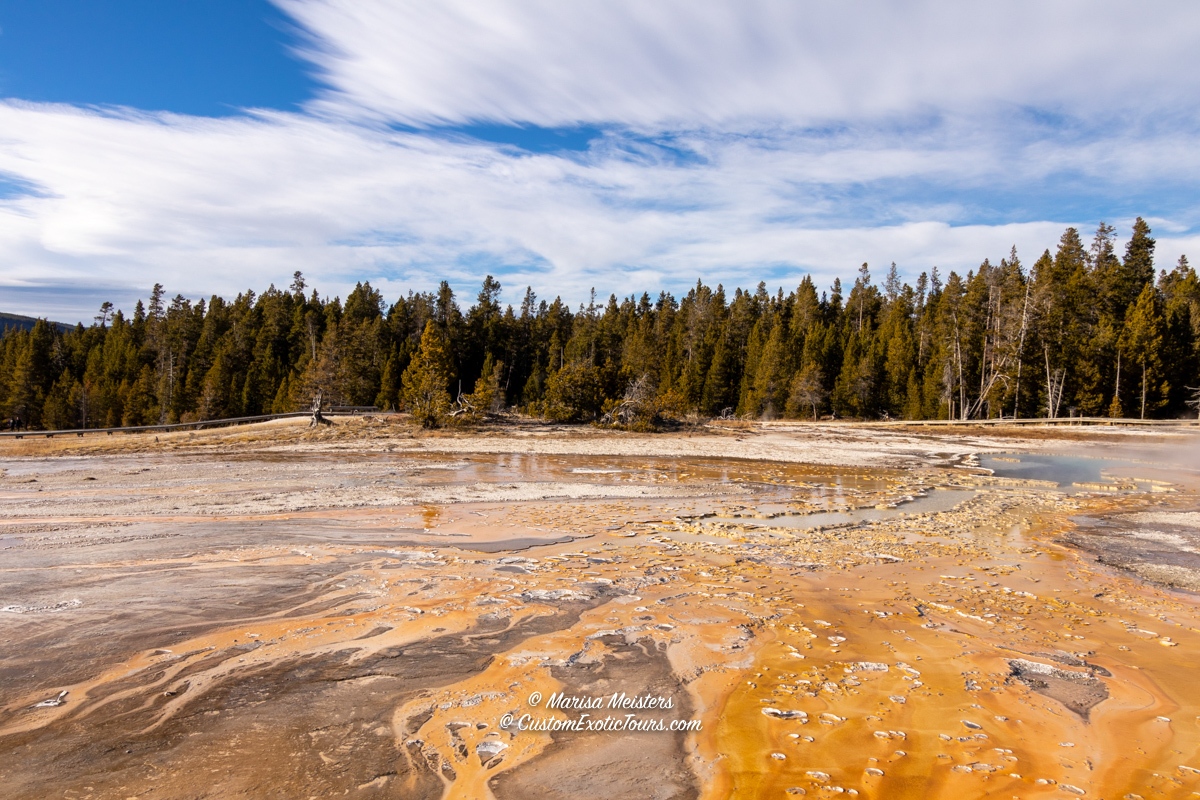 WorldwideXplore's tweet photo. Unusual colors caused by bacteria and volcanic conditions. #Yellowstone National Park.

Confused about planning your Yellowstone vacation? Get our FREE planning guide: https://t.co/1stsJHvEtZ

#travelphotography #YellowstoneNationalPark #Wyoming #UNESCO #UNESCOworldHeritage #TRLT https://t.co/aPbu4kdfJ0