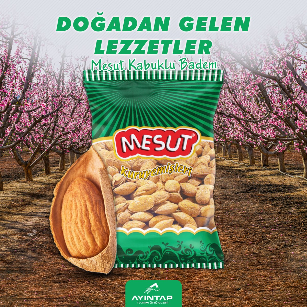 ayintaptarim's tweet photo. DOĞADAN GELEN LEZZETLER
- Mesut Kabuklu Badem -
- Ke��ke Hiç Bitmese Diyeceğiniz Lezzetler -
#ayıntaptarım #mesutkuruyemiş #kuruyemiş #kabuklubadem @mesutkuruyemis_ https://t.co/9G9XKi3Y5L