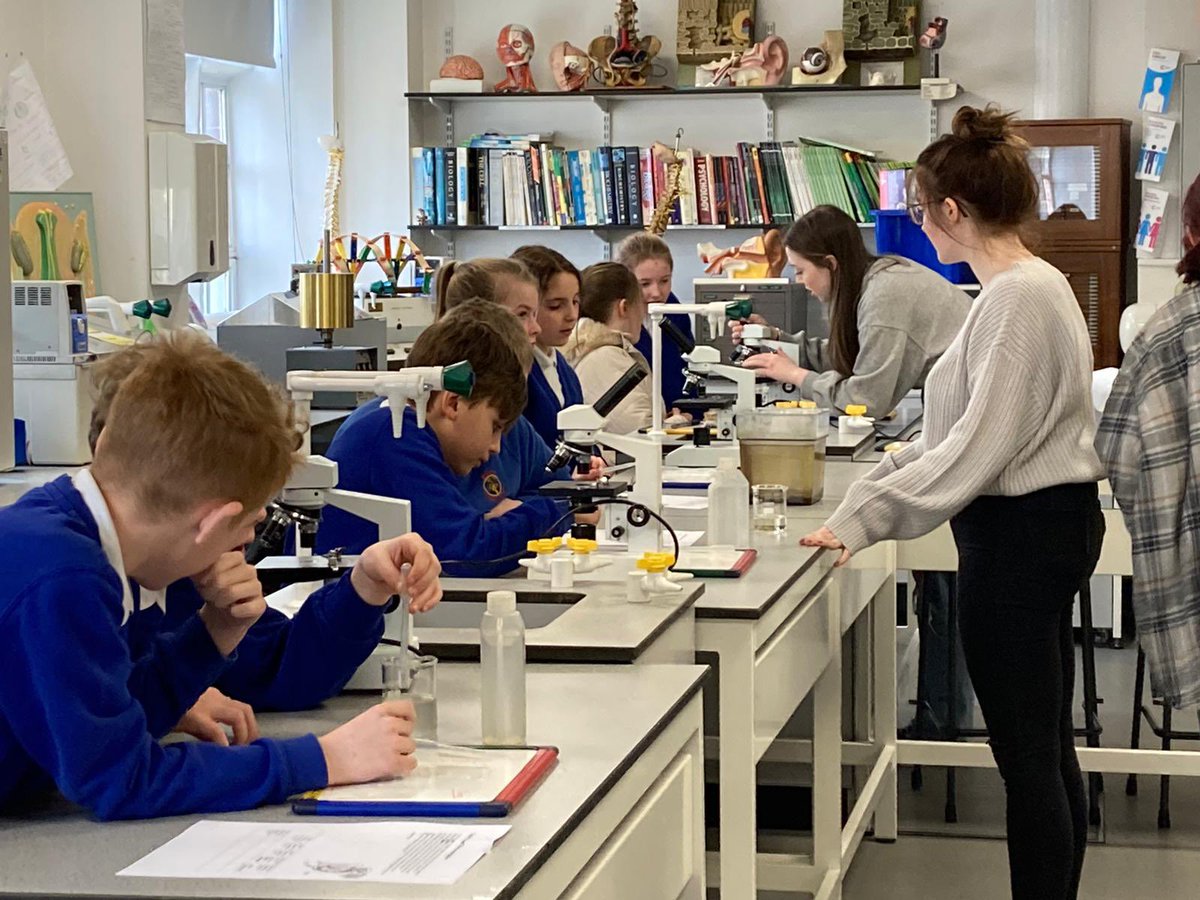 SunCollAlison's tweet photo. Such an amazing morning with Year 6 pupils from Grangetown &amp; Mill Hill primary schools to celebrate British Science Week 2022!! They all had a fantastic time learning from our Sixth Form Science specialists and experience in our Innovation Igloo Space.
#britishscienceweek2022 https://t.co/fuwNiHi9TN