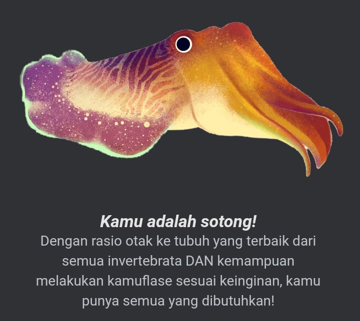 hermalia_j's tweet photo. Enak di masak https://t.co/C5ioHS9IJs