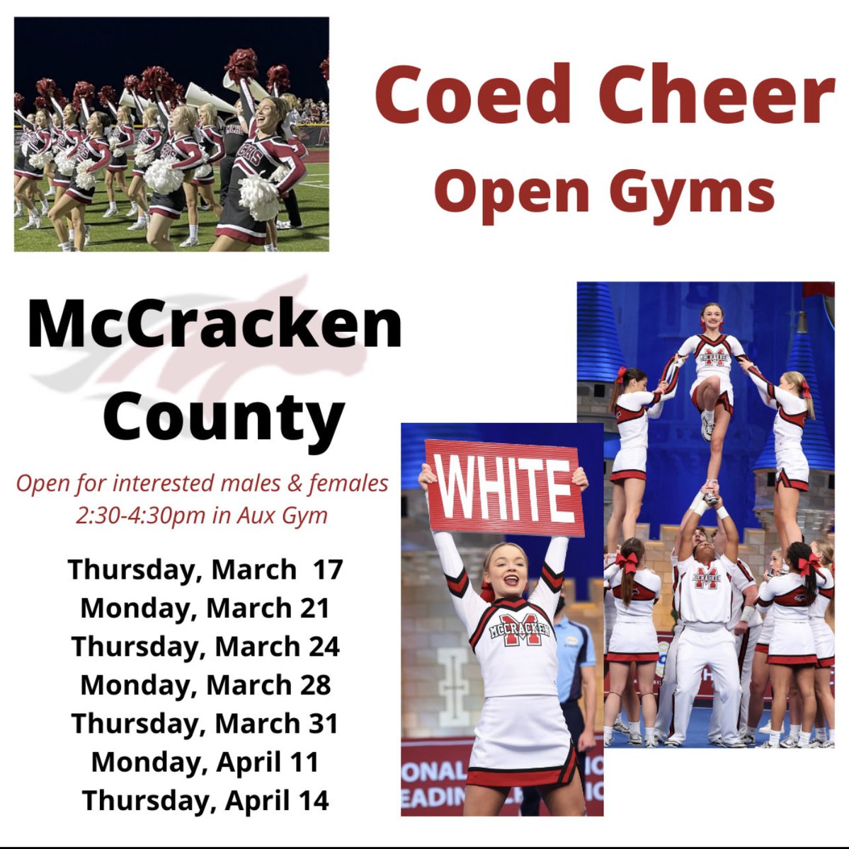 McCracken Coed Cheer (@mccrackencoed) on Twitter photo 