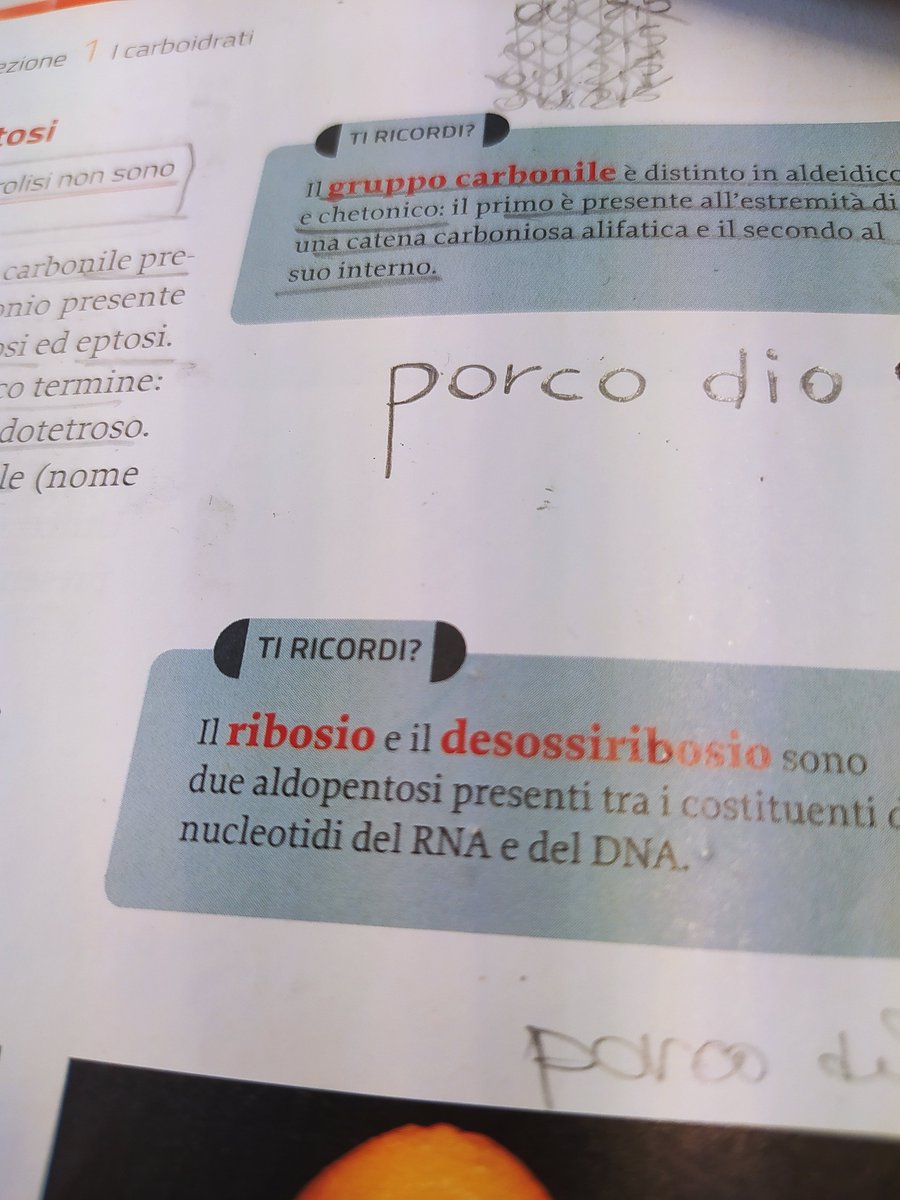 riccardoperucci's tweet photo. Libro usato come nuovo https://t.co/4r7S3j2nUw