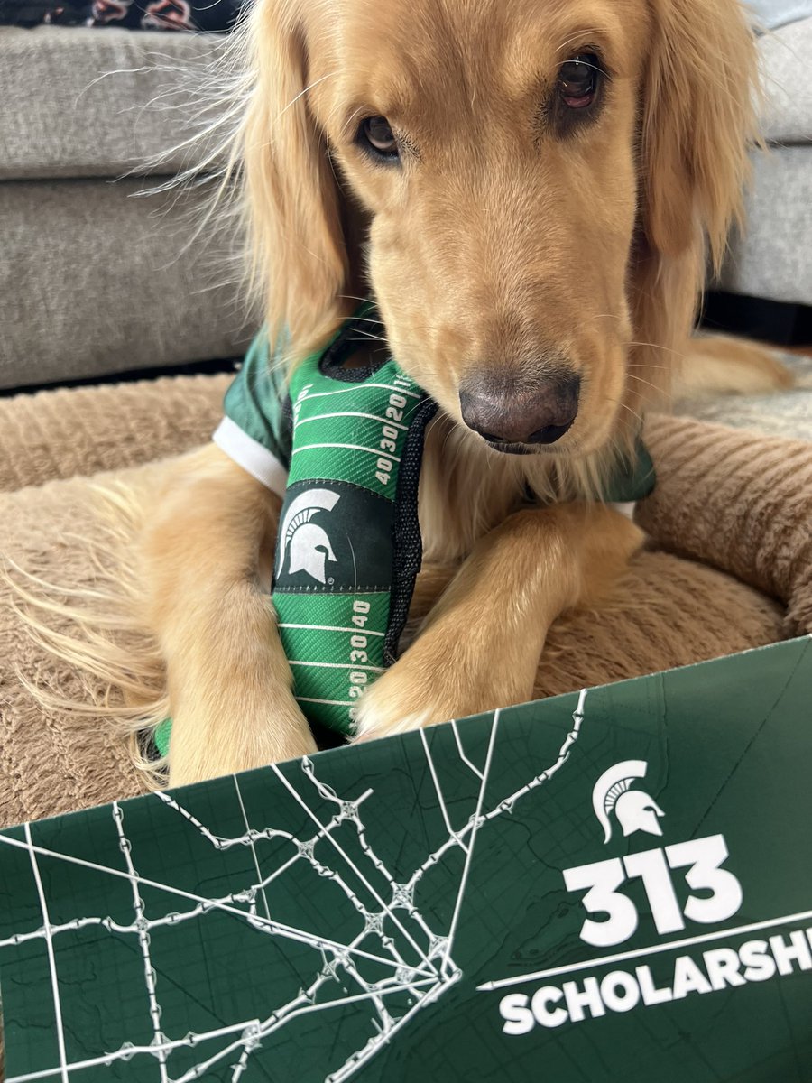 NikkiNoel_'s tweet photo. Molson wants everyone to donate to the #313scholarship for #GiveGreenDay! #GGDPhoto #dogsoftwitter #dogsforacause #gogreen https://t.co/mzzNSDV3JA https://t.co/LJNxTyCH3z