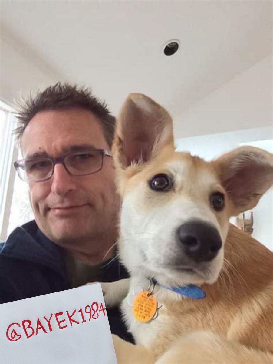 Bayek1984's tweet photo. can't wait to see having a doge miner
Thanks to:#goldshell
#dogearmy 
#dogecoin https://t.co/Hf47Wo6zI2