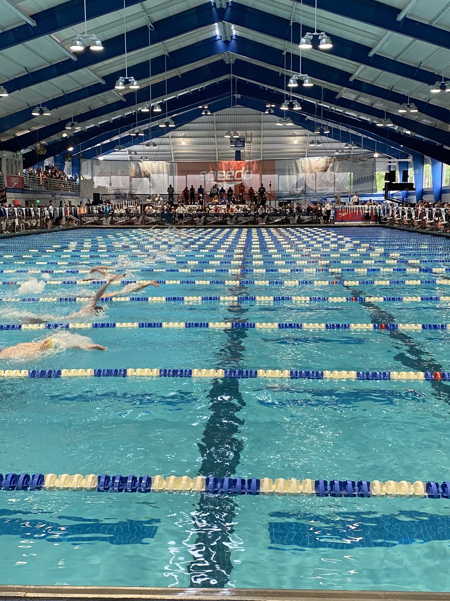 Ryan Sprang tweet media