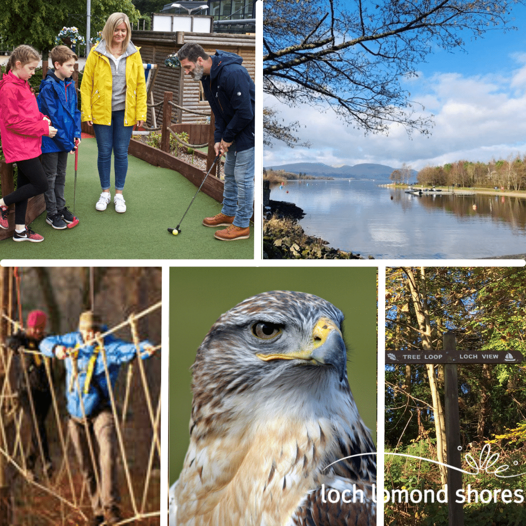 lochlomondshore's tweet image. The weather is looking dry this weekend so enjoy the outdoors here at Loch Lomond Shores. #adventuregolf #birdsofprey #treezone #woodlandwalks #beach #sundaymarket