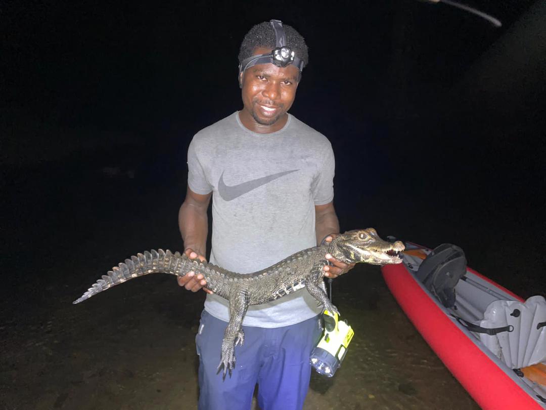 WCS_Nigeria's tweet photo. Peter Abanyam, recipient of the WCS John Thorbjarnason Fellowship, searching for slender snouted crocodiles with Matt Shirley in Cross River National Park. https://t.co/LUNLNVokTq