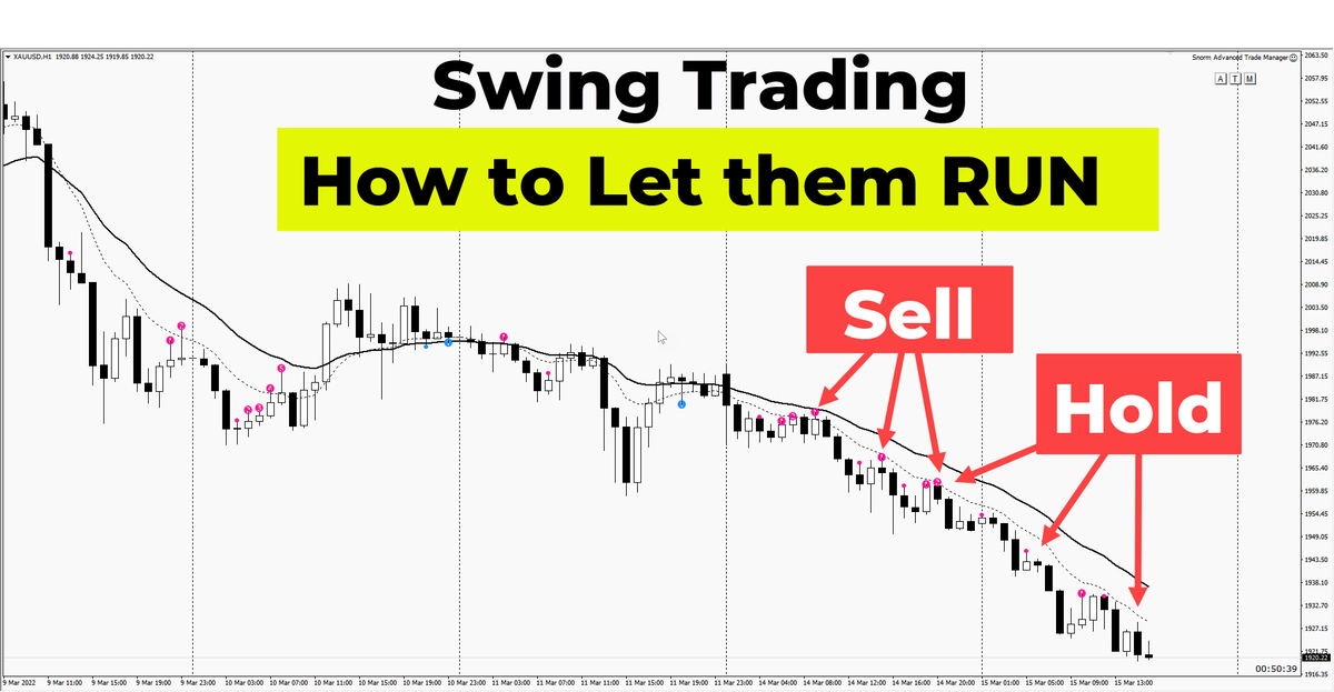 iTradeAIMS's tweet photo. How to Hold and Let Your Winners Run #letwinnersrun #cutlosersshort #swingtrading #fxswingtrading https://t.co/cfruVN2XDa