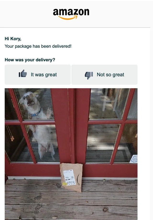 WholesomeMeme's tweet photo. https://t.co/HsuuLMZqFH