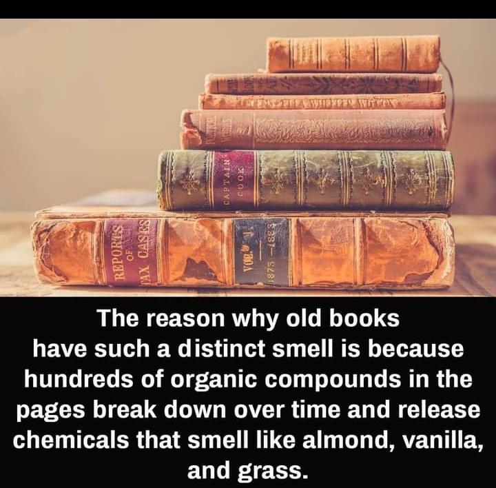 UniverCurious's tweet photo. Old Books https://t.co/JCbhY2Nmw2