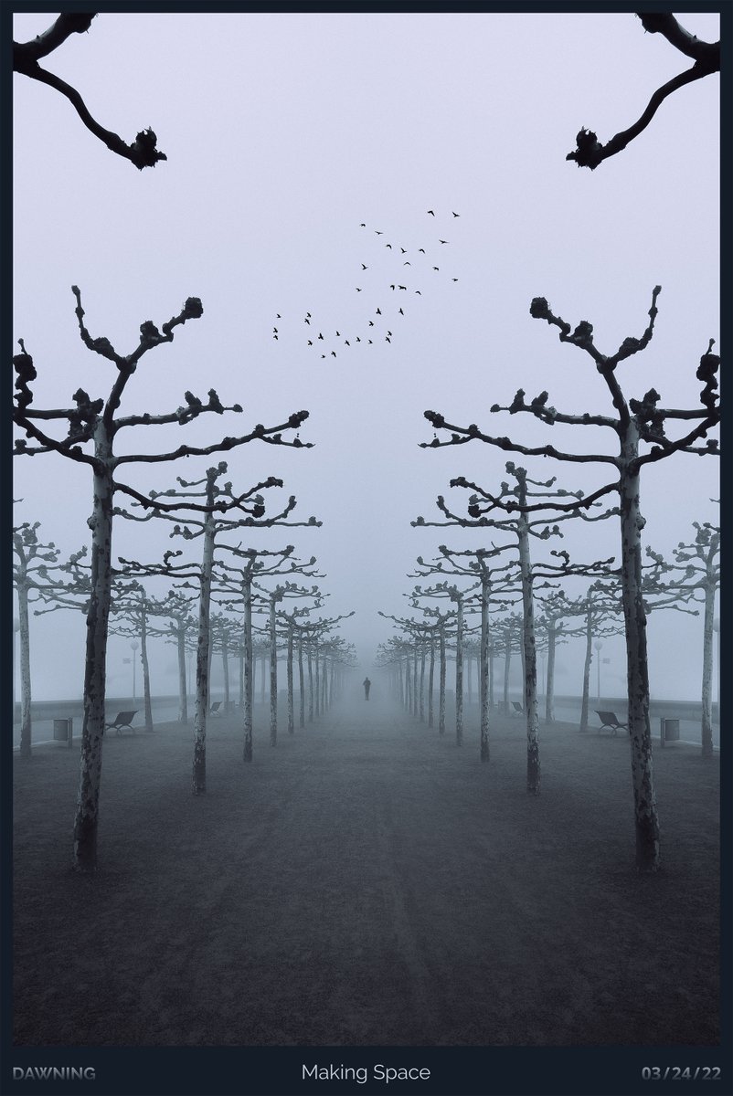 MAKING SPACE
The day awoke with a cloud swallowing the city whole. It suddenly felt like a ghost town, with none but a lone traveler and his hovering birds. The trees aligned themselves to make space - leaving the weight of the mundane behind. 
-
DAWNING - 03/24/22