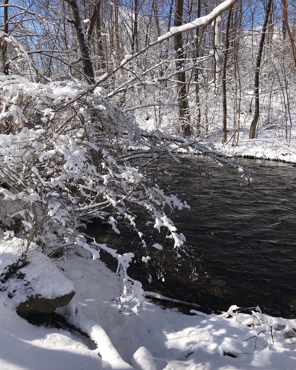 POMCmomma's tweet image. We finally got some perfect snow, just over 4” and it’s fluffy and packs well. But alas, NATE has a broken tibial plateau so we can only enjoy from the windows ❄️❄️ #sheilasbrush #lastsnowfalloftheseason #springtimeinvermont #wallomsacriver