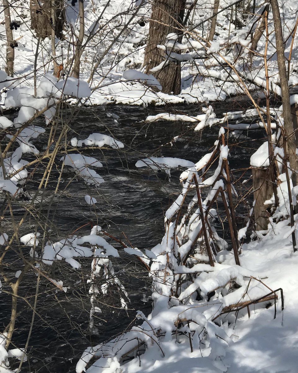 POMCmomma's tweet image. We finally got some perfect snow, just over 4” and it’s fluffy and packs well. But alas, NATE has a broken tibial plateau so we can only enjoy from the windows ❄️❄️ #sheilasbrush #lastsnowfalloftheseason #springtimeinvermont #wallomsacriver