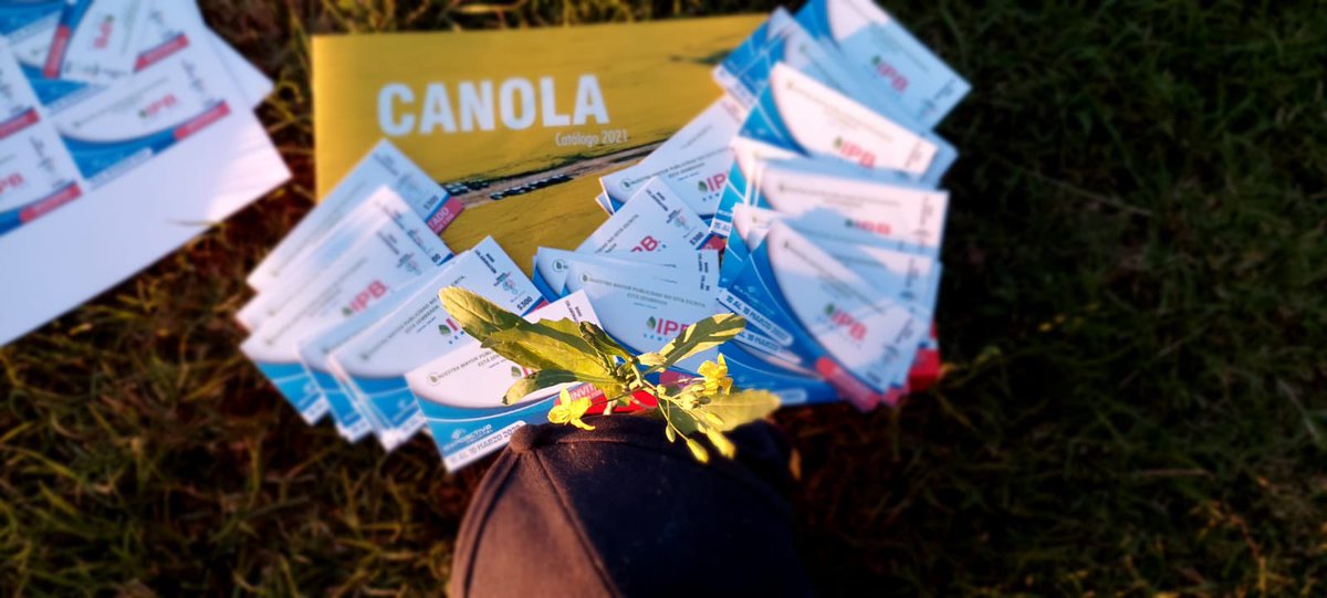 🚨La gente de @IPBSemillas se puso la camiseta! 🚨
Vamos a estar sorteando 5 entradas para <a href="/Expoactiva/">ExpoactivaNacional</a> 

Los requisitos son darle RT a la publicación y seguir la cuenta de @IPBSemillas 

No tenemos mucho tiempo así que los ganadores serán anunciados esta  noche. 🚜🚜🚜🌱