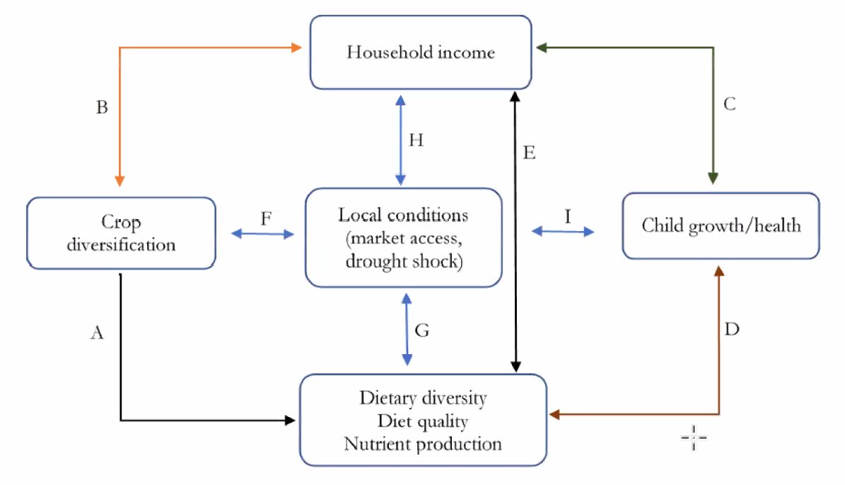 jwalker_econ's tweet photo. Is crop diversification a useful tool for improving nutrition outcomes? Using IVs, Wondimagegn Tesfaye finds that diversification increases diet diversity/quality and child growth in Ethiopia. These effects are larger in areas with limited market access.

#OxCSAE2022 @Oxford_CSAE https://t.co/GudDfcdXbb