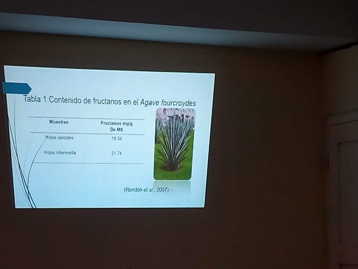 LimaRaciel's tweet photo. #Ahora defiende su tesis de maestría joven profesora de la @ucfgos en el programa Salud Animal Avanzada de la @FacUclv. Ensilajes de caña-canavalia inoculados con un bioproducto obtenido de los residuos del Henequén. Alternativa para alimentar rumiantes! #VamosPorMás https://t.co/Ql3XY1xu0n