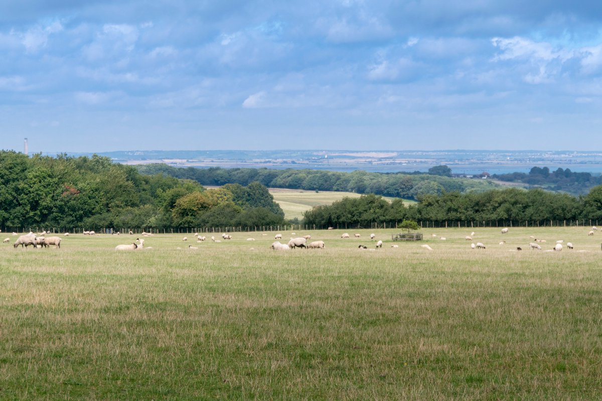 WedgewoodHomes's tweet photo. It’s the first day of Spring this Sunday! If you’re looking for a long country walk, Elham Valley Way leads from Canterbury down to the coastal town of Hythe. If you like the area, watch this space for our latest development, Coastlands, Hythe. #livingbythesea #newhomes #Hythe https://t.co/23HyzMFMyZ