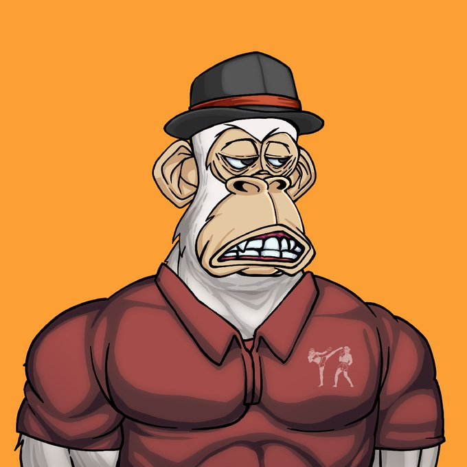 <a href="/solpratty/">Pratty ❤️‍🔥 (Alt Account)</a> @ShreddedApesNFT Bro you have to get them apes ready for Bootcamp , they need to eat some of that $WHEY  , don't keep them hungry 💪✊