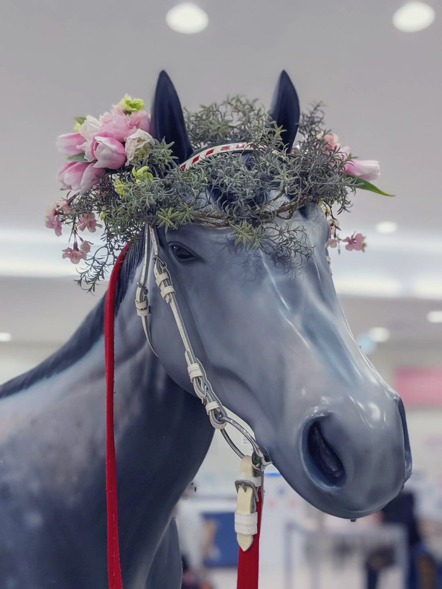 UmaUsaCafe's tweet photo. UMJOスポットに可愛い芦毛さんがいました💕
#阪神競馬場
#UMJO
#芦毛さん https://t.co/lGZj0uq6Jh