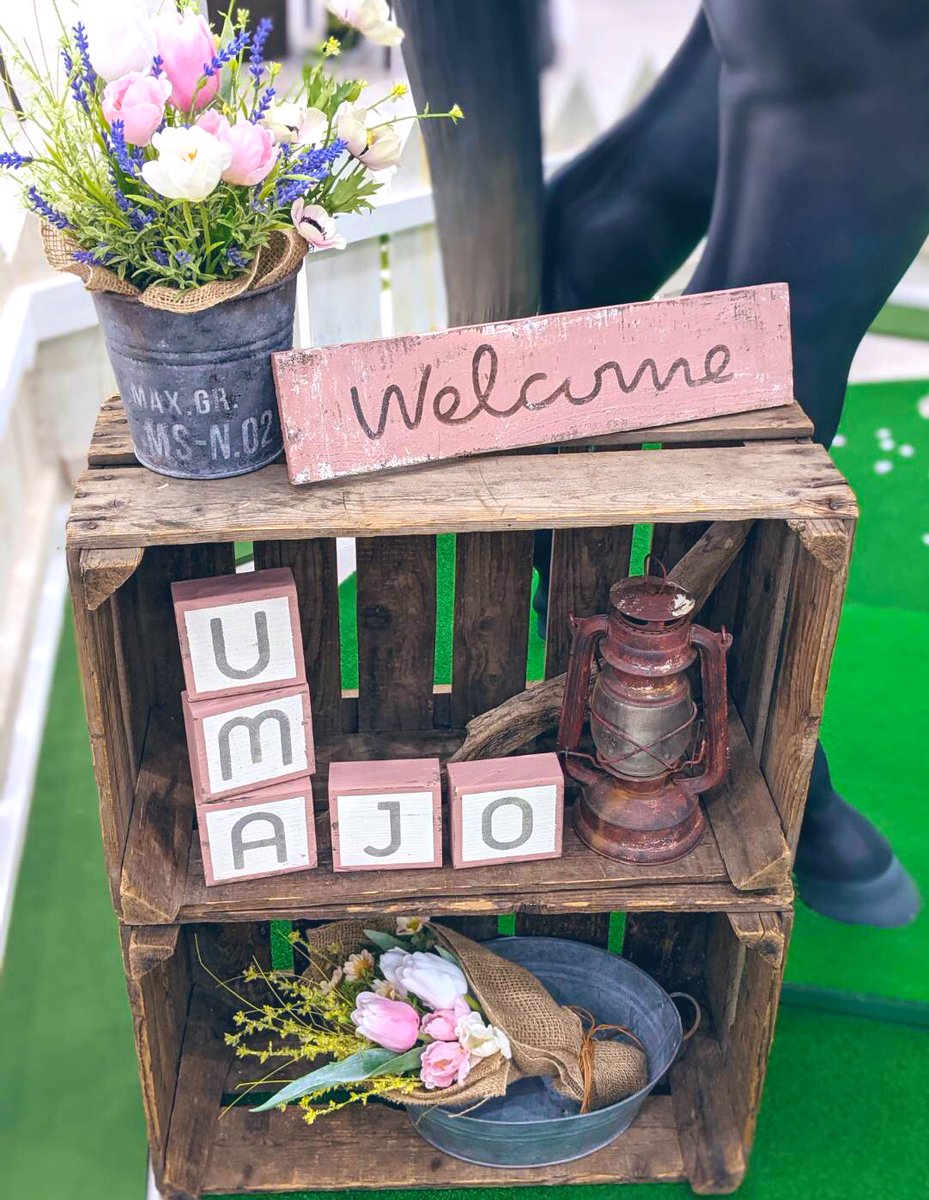 UmaUsaCafe's tweet photo. UMJOスポットに可愛い芦毛さんがいました💕
#阪神競馬場
#UMJO
#芦毛さん https://t.co/lGZj0uq6Jh
