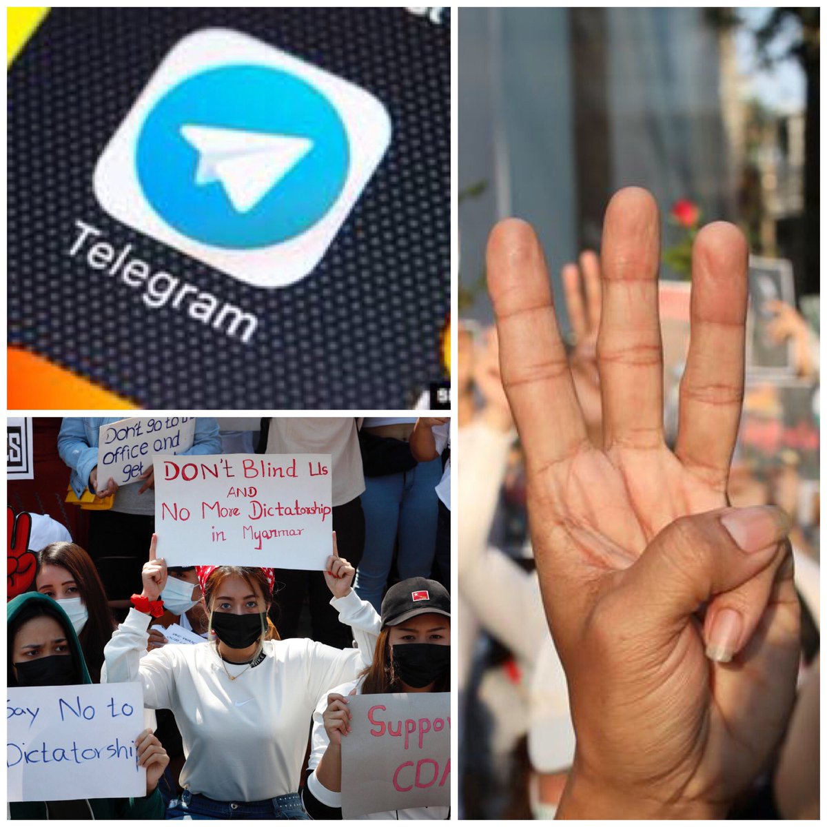 Tiam1702's tweet photo. We call for the TELEGRAM team to put an end to the vicious personal attacks on women and to protect them from all forms of violence as well. It’s of prime importance to tear down all the channels run by military lobbyists.#TelegramHurtsWomen https://t.co/oSwcYdB6qF
