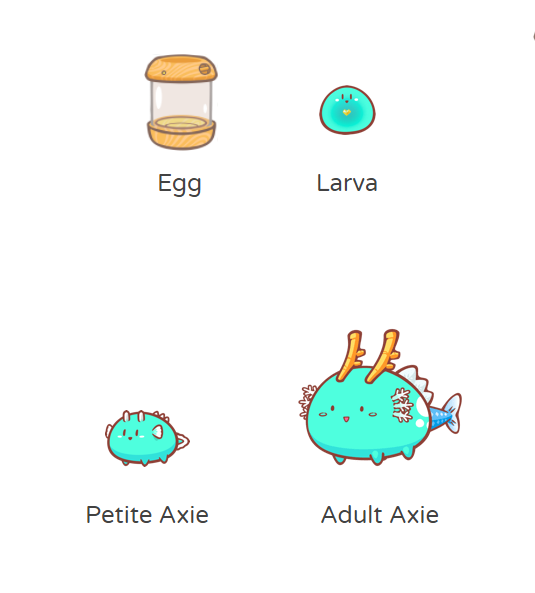 Do you know that Axies used to grow through 4 stages?

examples:
Stage1: Egg
axieinfinity.com/axie/5167
Stage2: Larva
axieinfinity.com/axie/4
Stage3: Petite
axieinfinity.com/axie/5277
Stage4: Adult
axieinfinity.com/axie/11111111

You can view stages 2 and 3 but you can't search for them.