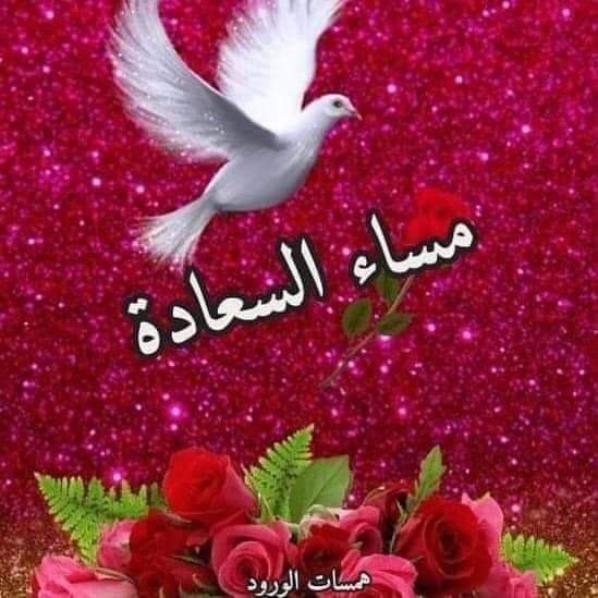 e10475643khaled's tweet photo. @nadia1111181 https://t.co/HU21AVoxWJ