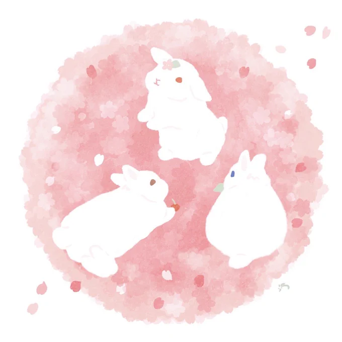 🌸アラウッサッサ〜♪🌸 