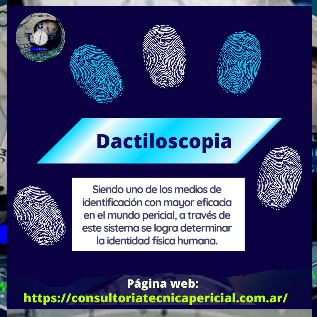 Consultoría Técnica Pericial tweet media