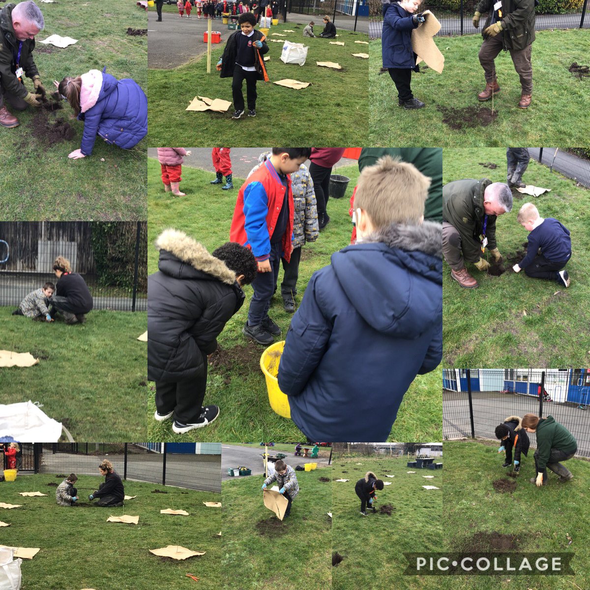 Tree planting 🌳 we had a great time developing our school by planting lots of trees!