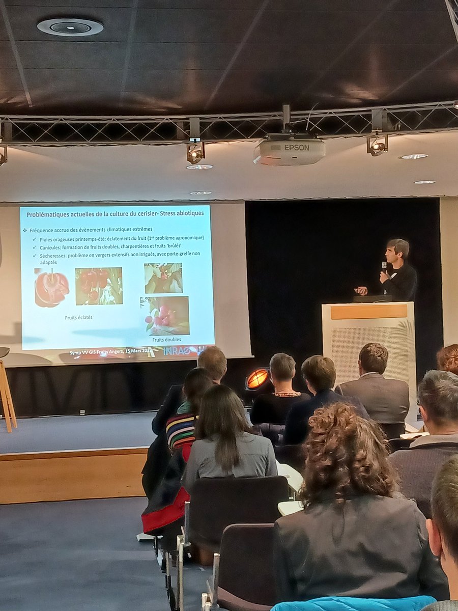 Jose QUERO-GARCIA, INRAE Bordeaux, presents his research program on the cherry tree, at VEGEPOLYS VALLEY GIS FRUITS SYMPOSIUM [VVGISFSYMPOSIUM] during #Sival22 to answer the question: Can varietal selection reconcile environmental issues and consumer demands?