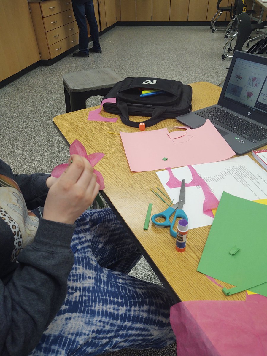 Intro to Agriculture B students working on creating models of plants and identifying the anatomical parts. #gocrickets <a href="/fccrickets/">Fall Creek School District</a> #learningbydoing
